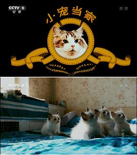 小宠当家