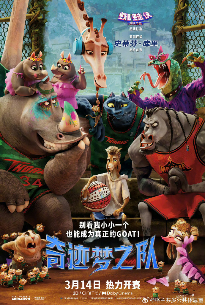 奇迹梦之队